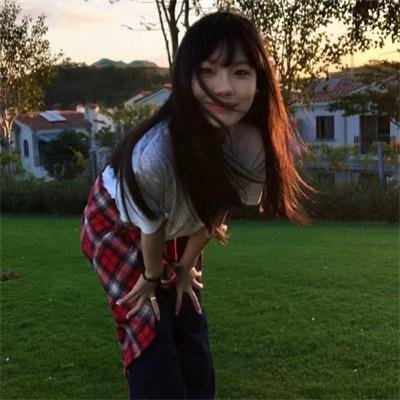 庇护之地海报